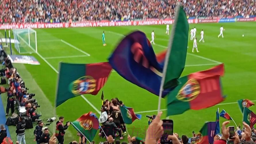 葡萄牙9比1狂胜晋级世界杯！C罗停赛，B费、若昂·内维斯双戴帽